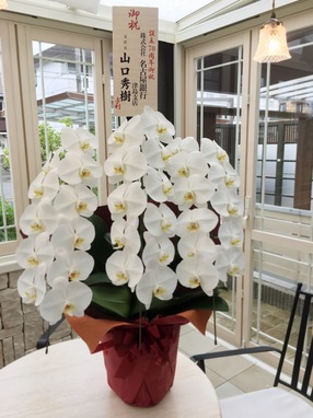 設立70周年を迎えました