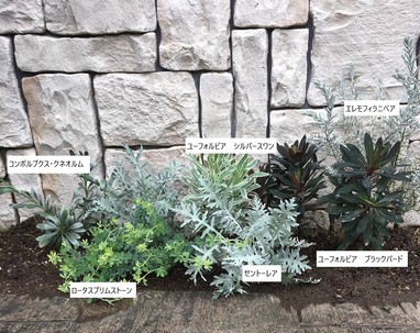 植栽を植えました。