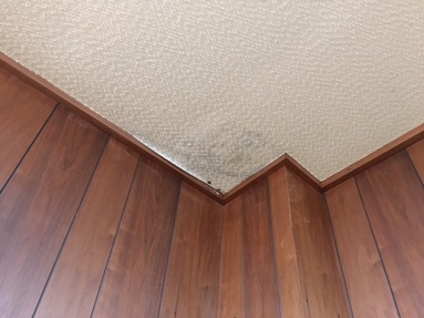 雨漏りは大丈夫ですか？