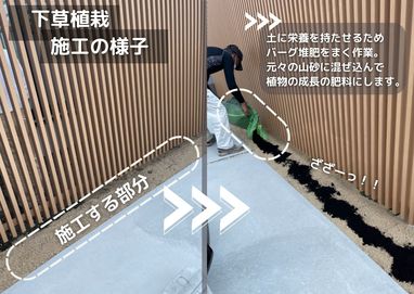 現場での植栽施工の様子！