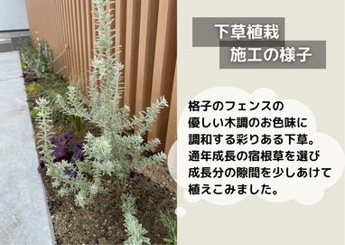 現場での植栽施工の様子！