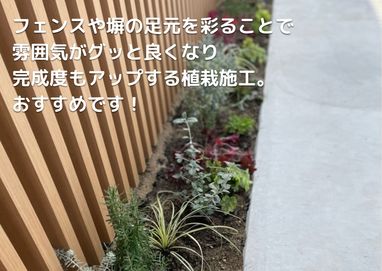現場での植栽施工の様子！