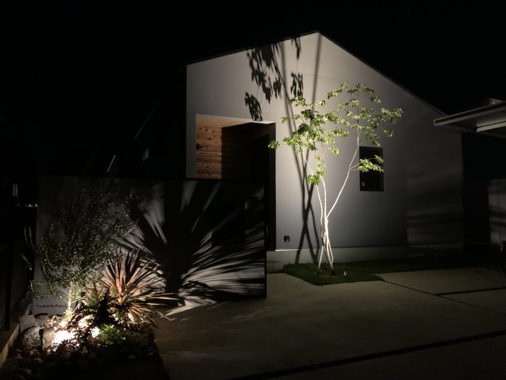 津島市 季節を通して楽しむ植栽ライトアップ