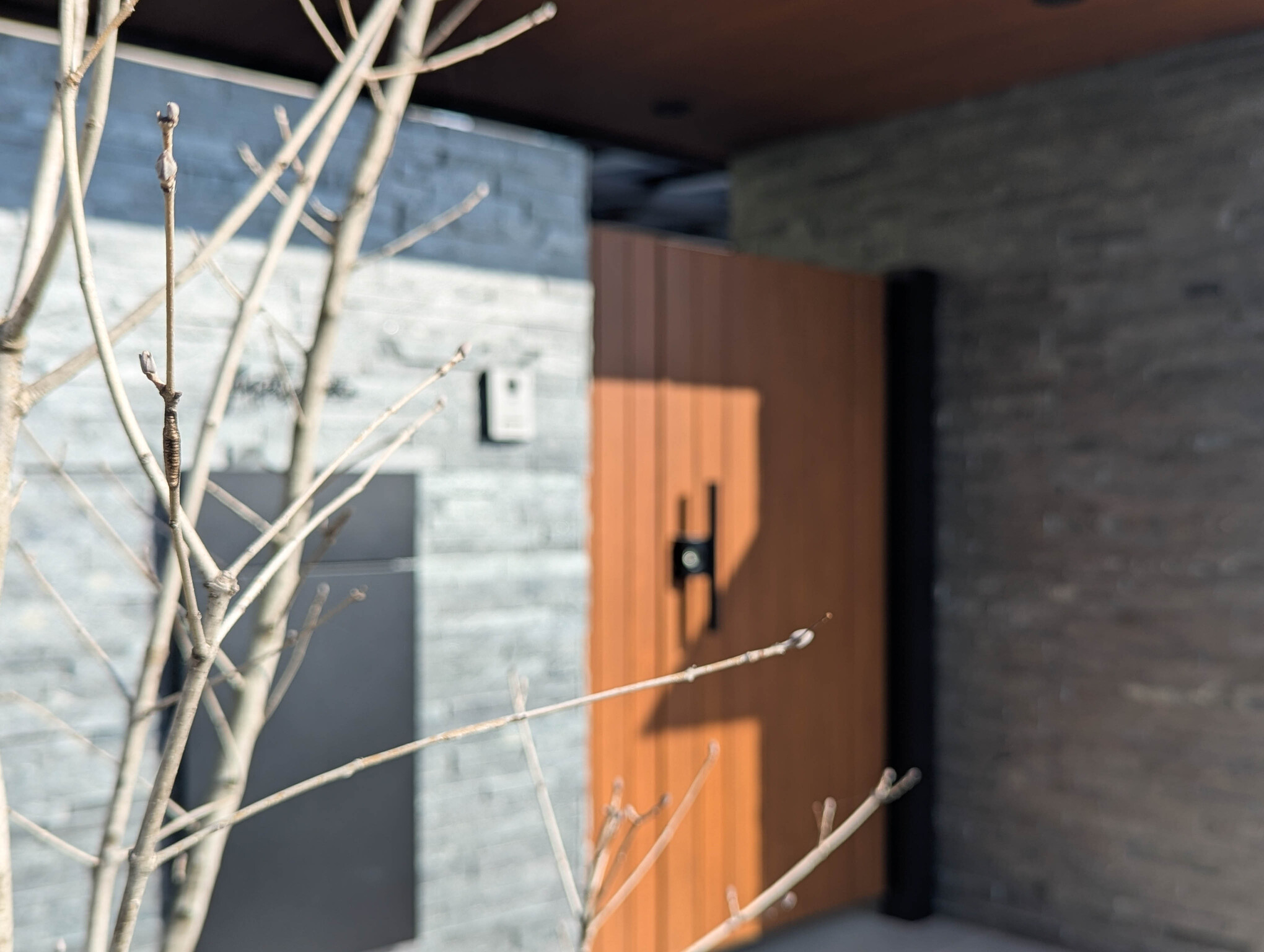 愛知県愛西市 門まわり植栽 お住まいに季節の訪れを感じさせてくれるアオダモの冬芽